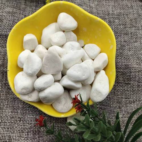 工厂供应园艺用白色小石头 别墅园林铺路 打磨鹅卵石提供样品价优